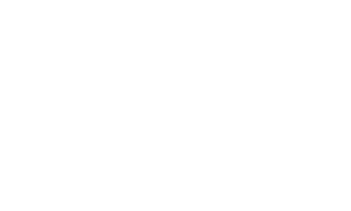 CV Prime